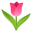 🌷