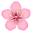 🌸